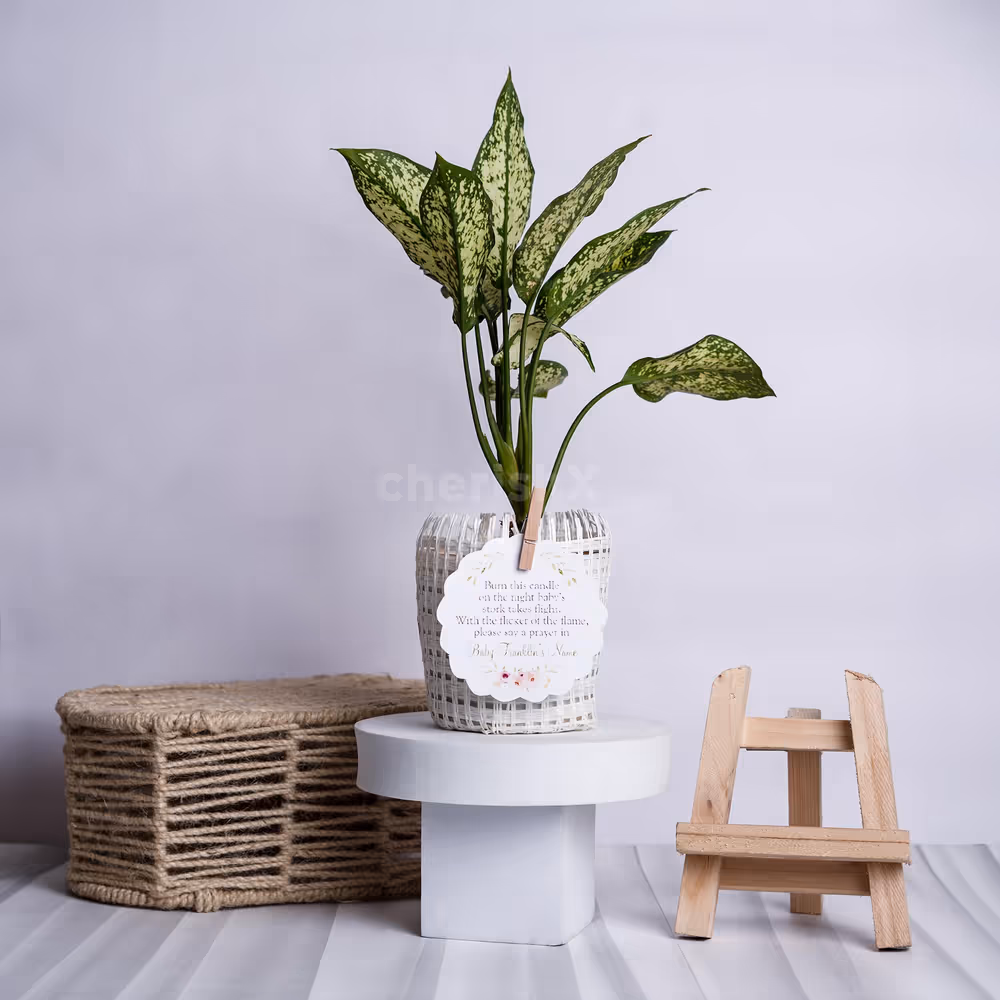 A party-perfect basket of greens gift.