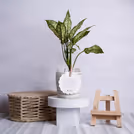 A party-perfect basket of greens gift.
