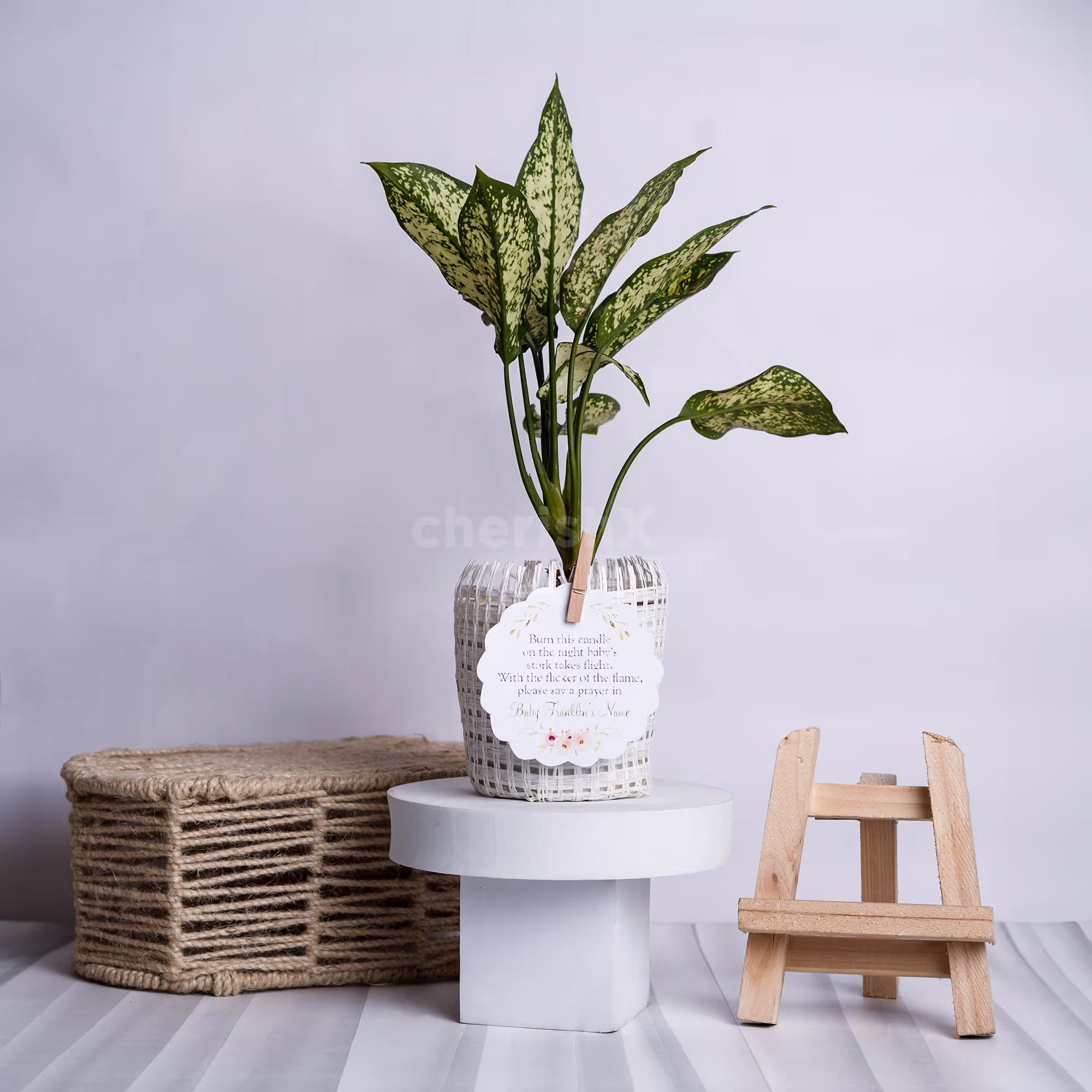 A party-perfect basket of greens gift.
