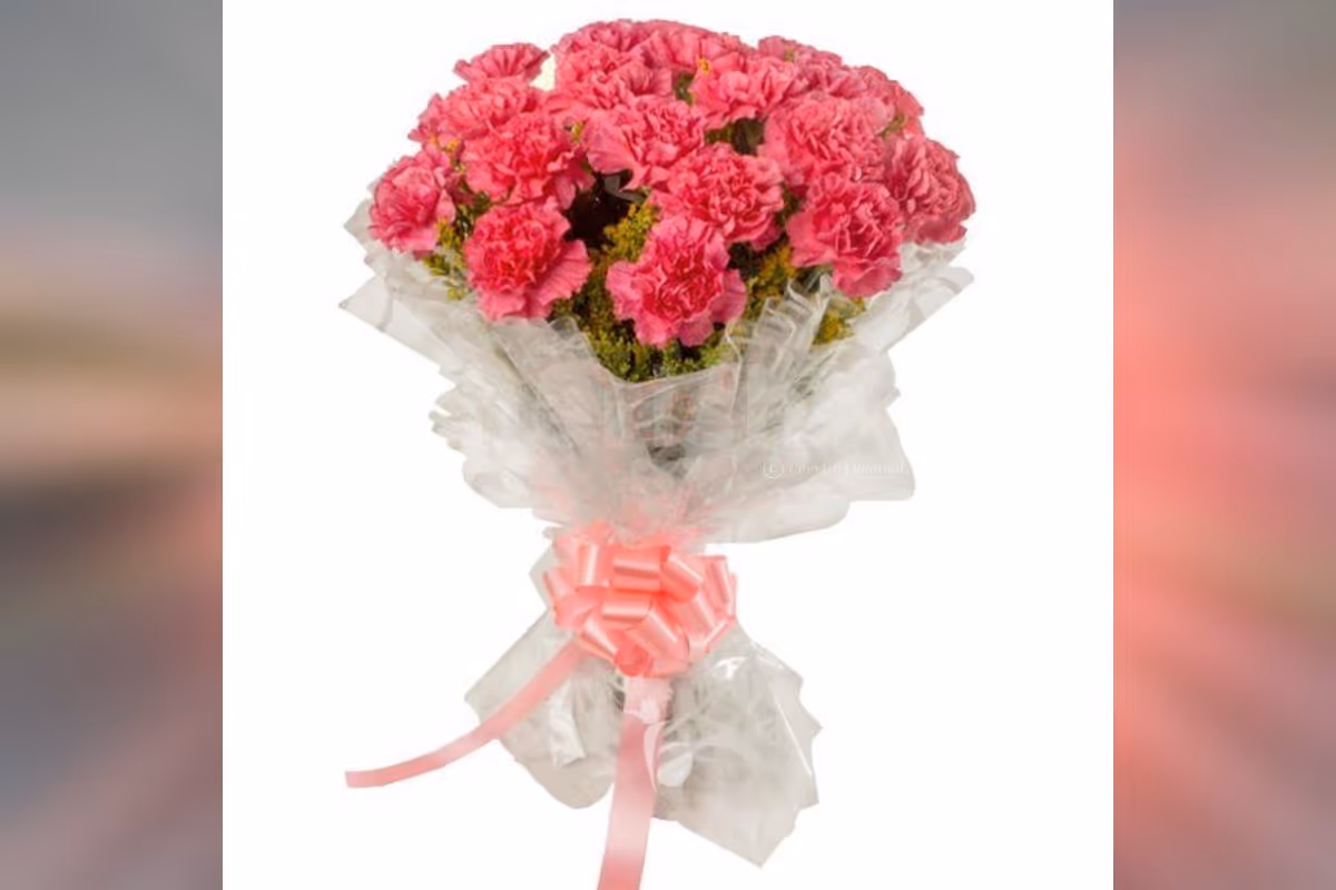 20 pink carnations bouquet