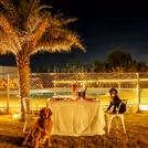Enjoy a unique candlelight dining experience with your beloved dogs by your side.