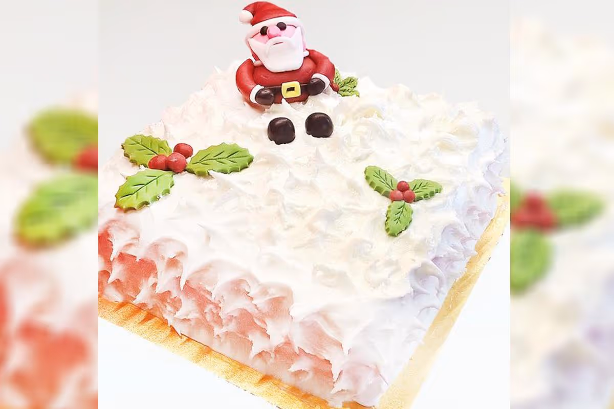 Santa Claus Cake