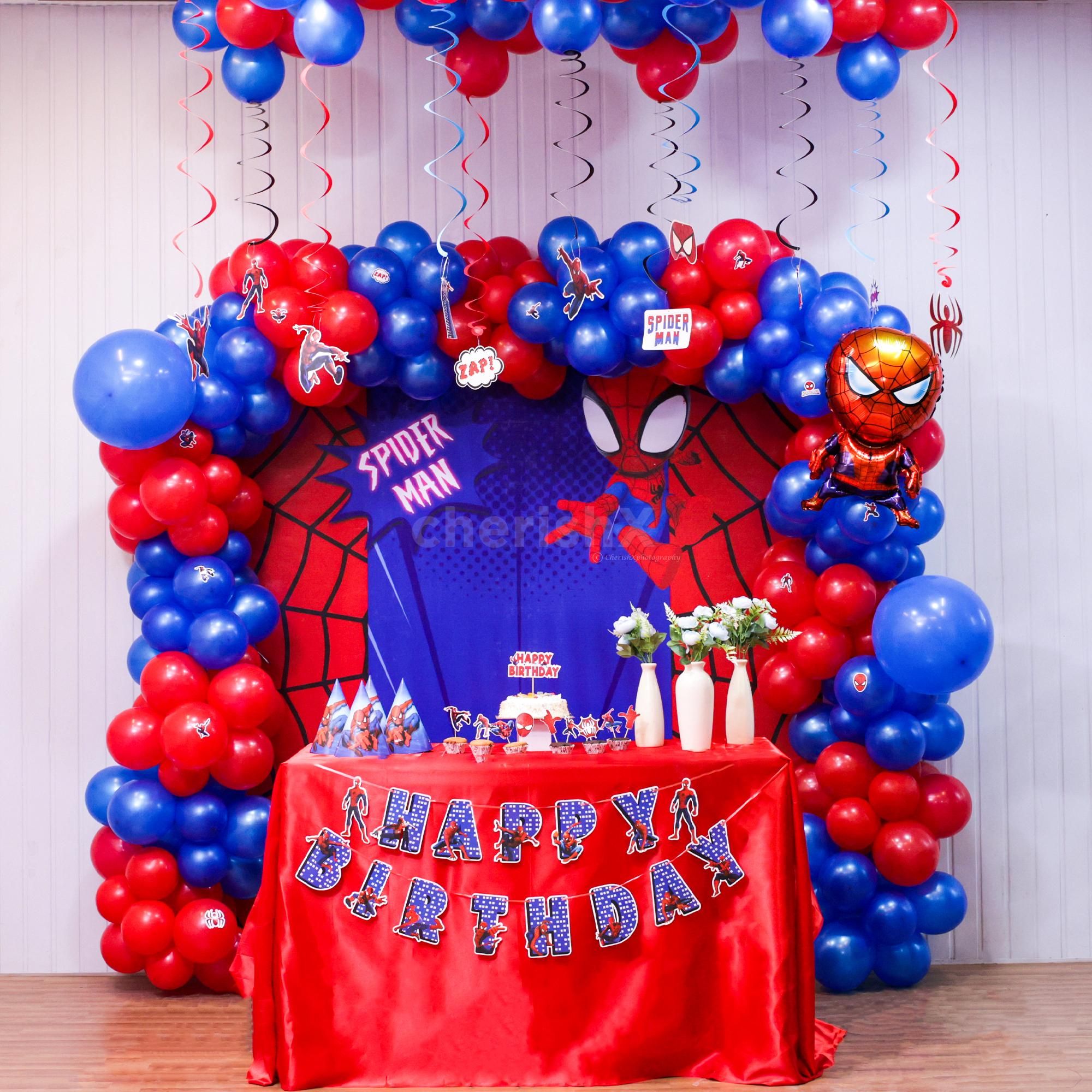 Web Slinging Party Vibes Only Kids Birthday Edition