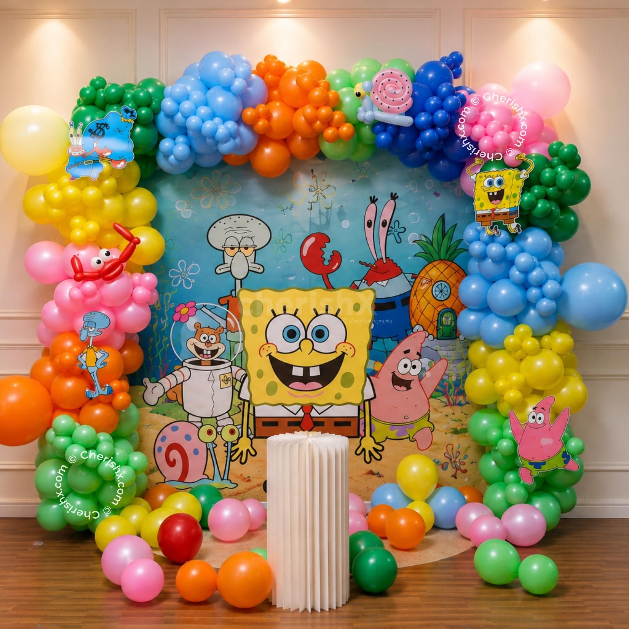 Spongebob Backdrop