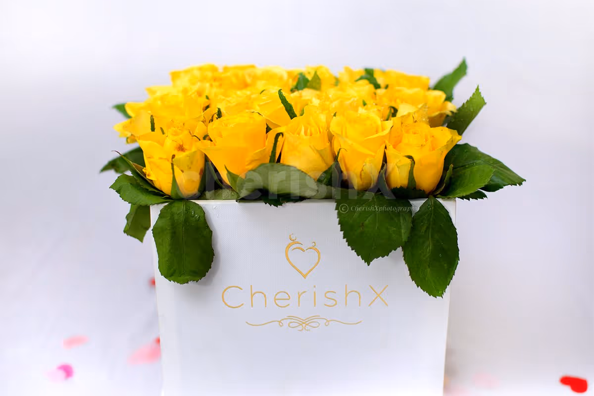 Tinted Rose Bucket 