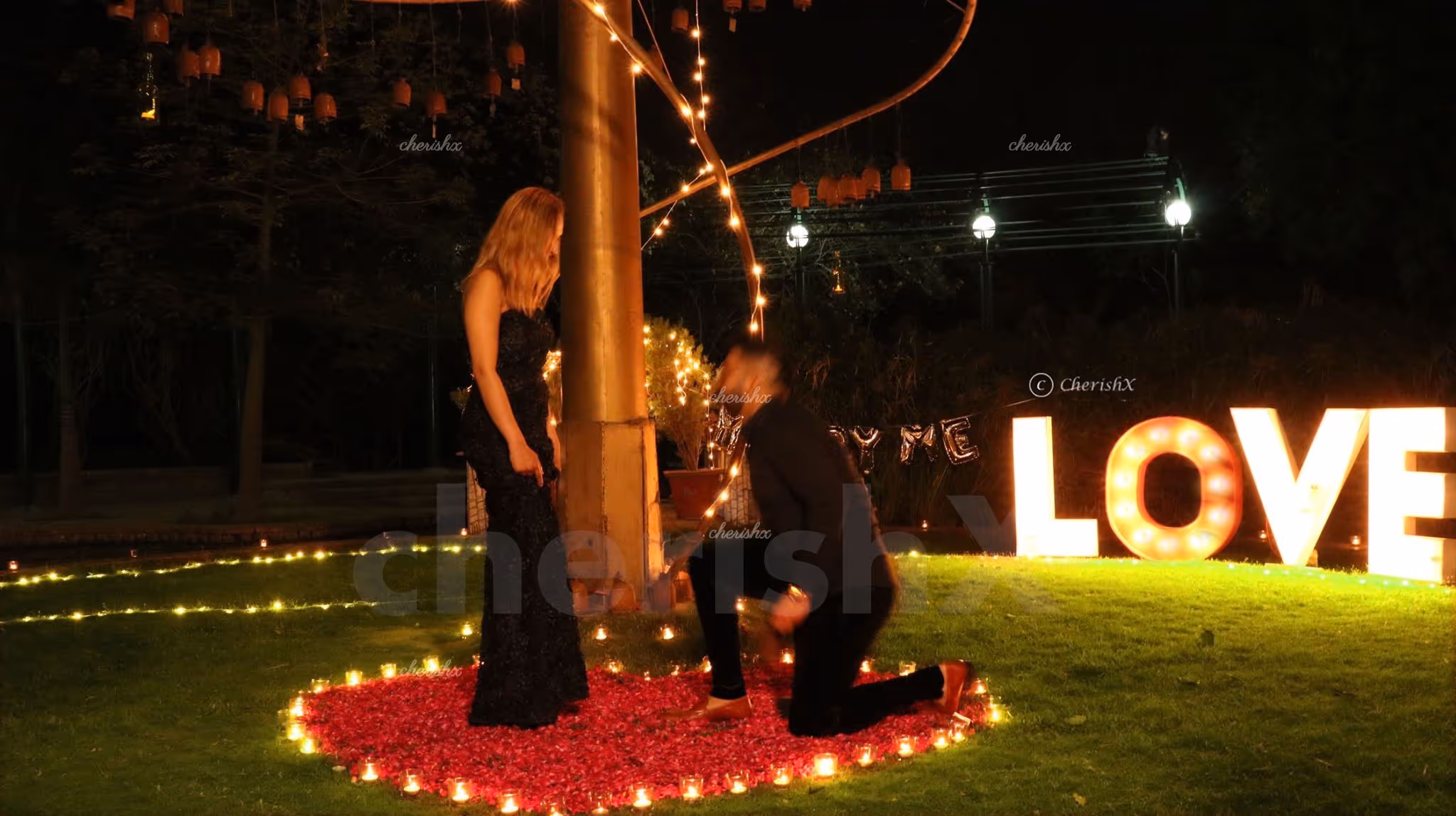Whimsical Proposal