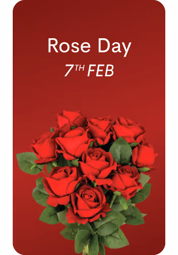 Order Online & Send Rose Day Gifts to Delhi NCR for your Husband, Boyfriend, Girlfriend or Wife