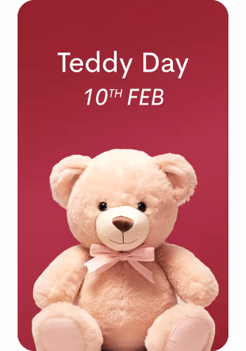 Send Teddy Day Gifts to your loved ones in Delhi NCR this Valentine's with cute Teddy Surprise Boxes, Fluffy Bears, Teddy Shape Chocolates and more!
